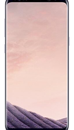 Samsung Galaxy S8 Plus 64GB 6.2" 12MP Smartphone sin SIM en gris orquídea (renovado)