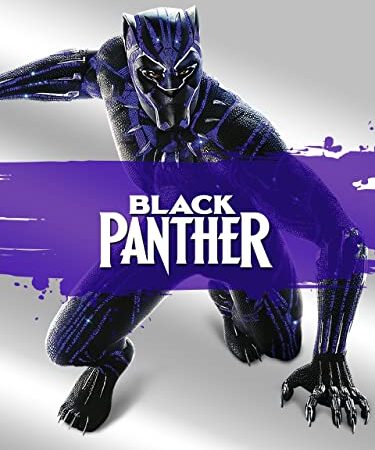 Marvel Studios' Black Panther