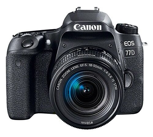 Canon EOS 77D - Cámara réflex de 24.2 MP (vídeo Full HD, WiFi, Bluetooth) Negro - Kit Cuerpo con Objetivo EF-S 18-55 IS STM