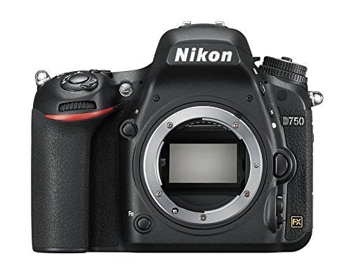 Nikon D750 - Cámara réflex digital de 24.3 Mp (pantalla 3.2", vídeo Full HD), color negro - Solo cuerpo,