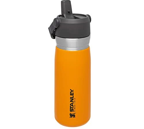 Stanley IceFlow Flip Straw Botellas Termicas Agua Acero Inoxidable con Pajita Plegable 0.65L / 22OZ Azafrán – Anti-Fugas - Botella Termica Sin BPA - Fácil de Llevar - Apta Para Lavavajillas