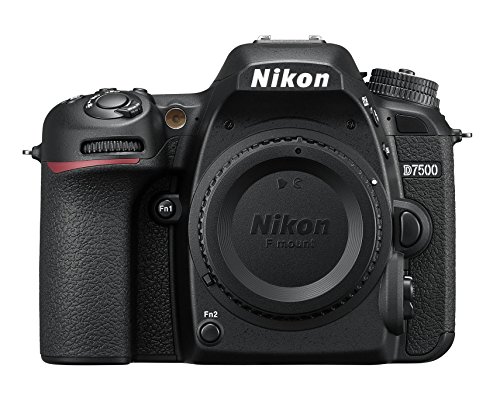 Mejor nikon d5600 en 2024 [basado en 50 revisiones de expertos]